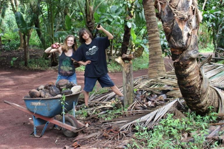 Paradise Eco Village Pahoa 外观 照片
