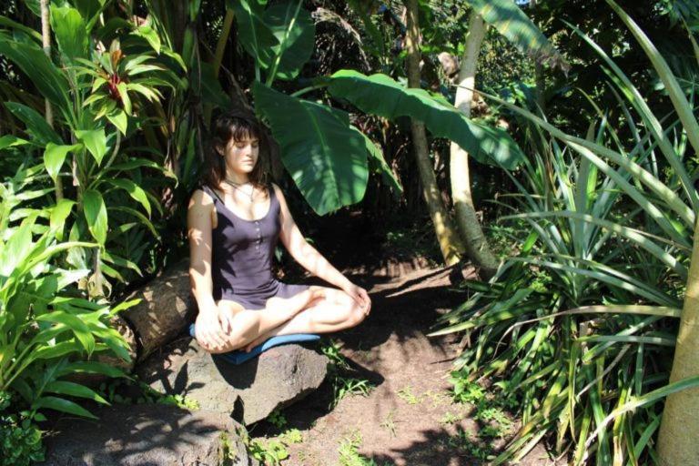 Paradise Eco Village Pahoa 外观 照片