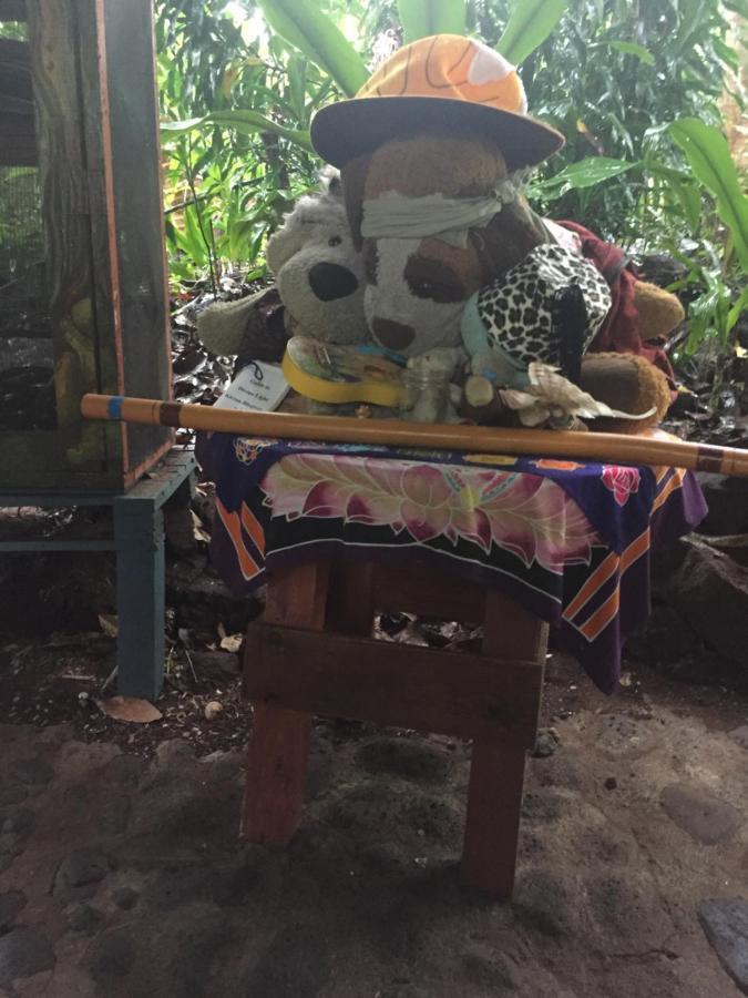 Paradise Eco Village Pahoa 外观 照片