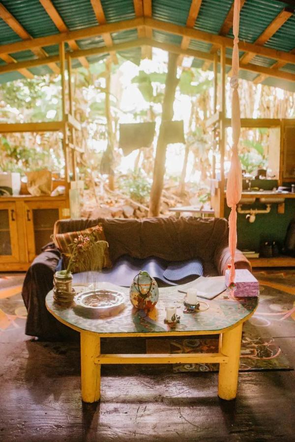 Paradise Eco Village Pahoa 外观 照片