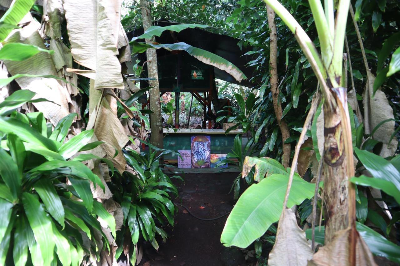 Paradise Eco Village Pahoa 外观 照片