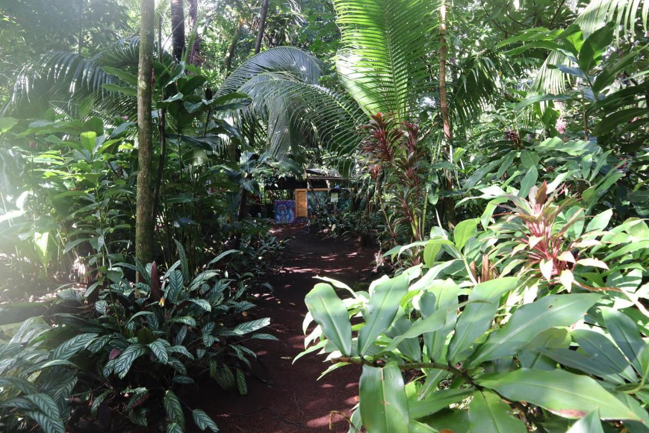 Paradise Eco Village Pahoa 外观 照片