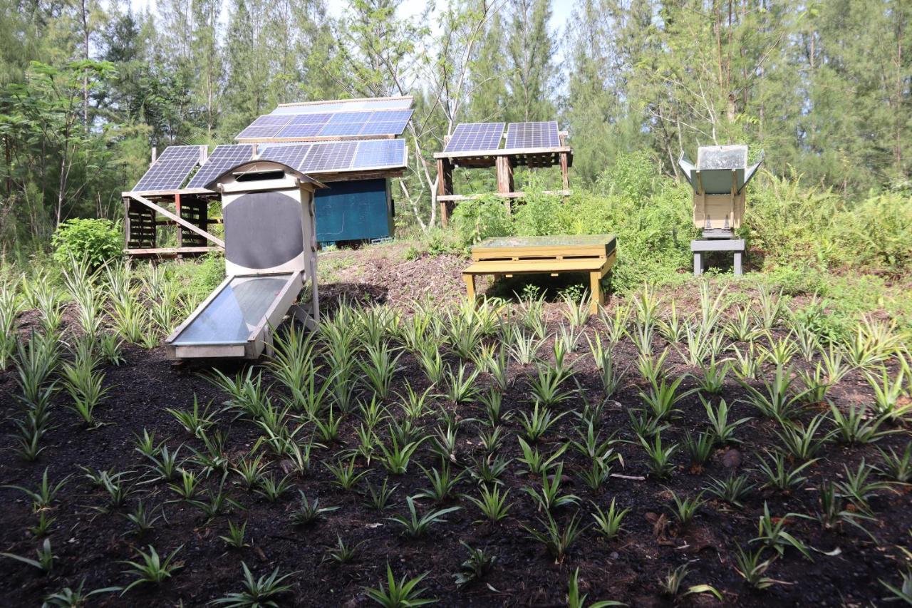 Paradise Eco Village Pahoa 外观 照片