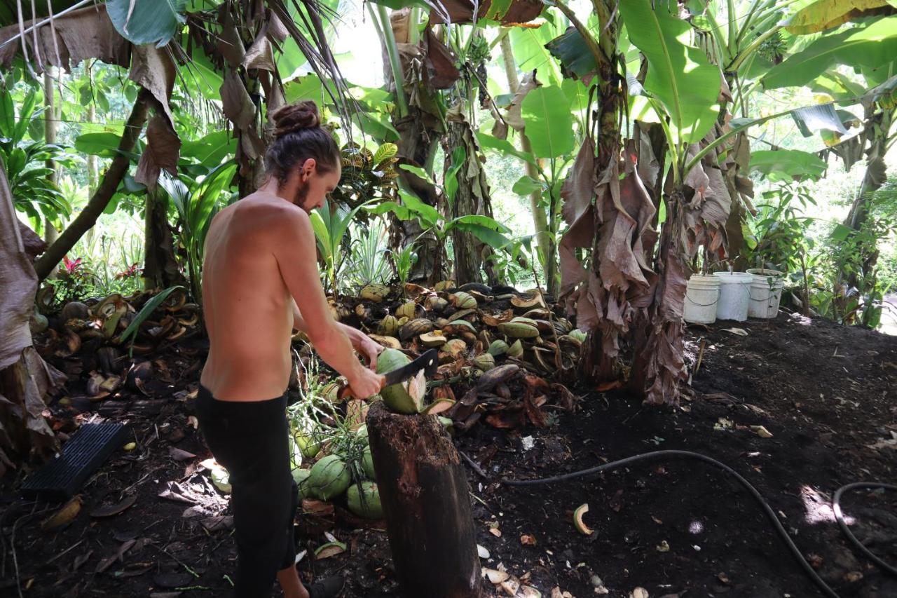 Paradise Eco Village Pahoa 外观 照片