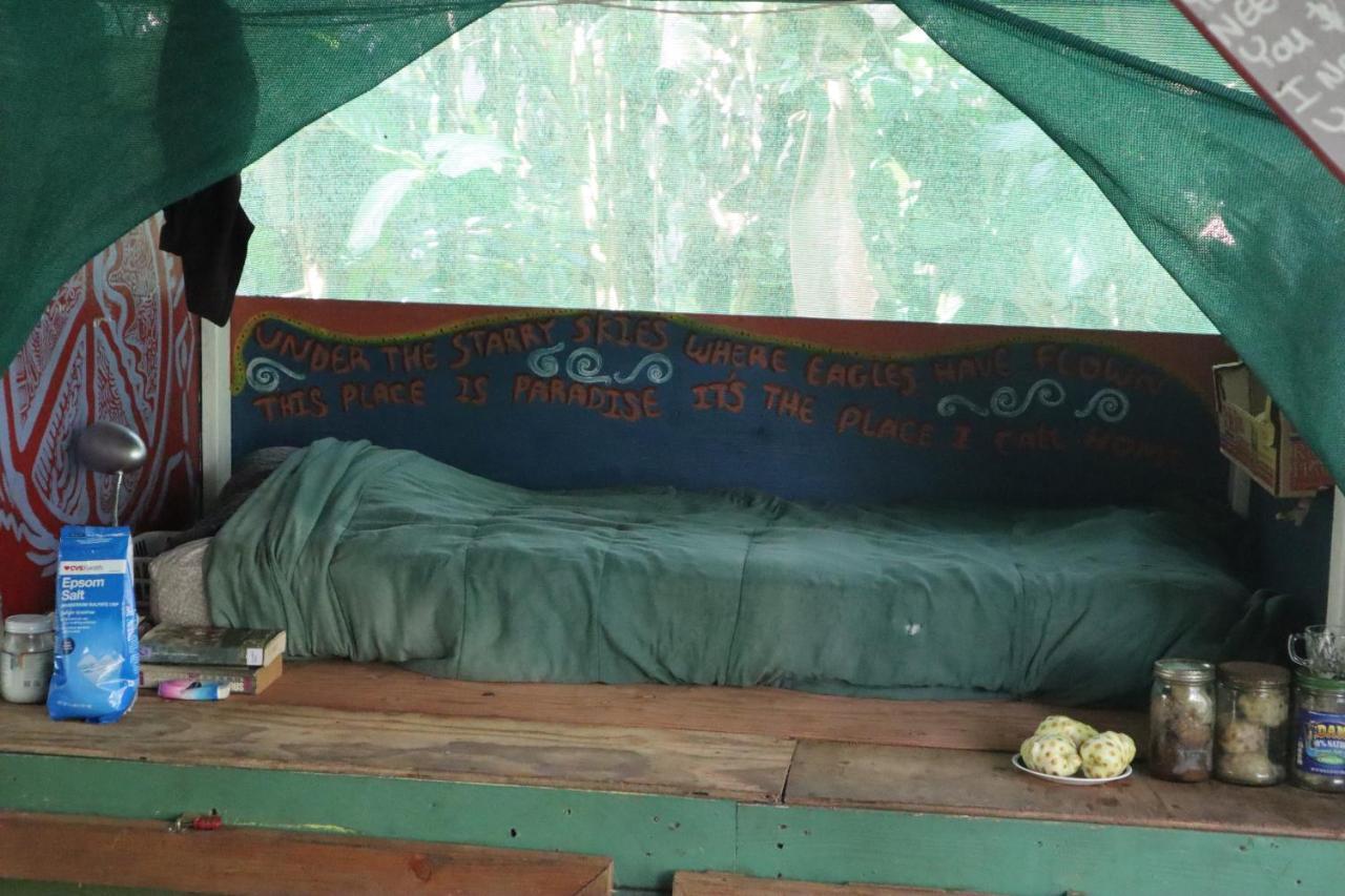 Paradise Eco Village Pahoa 外观 照片