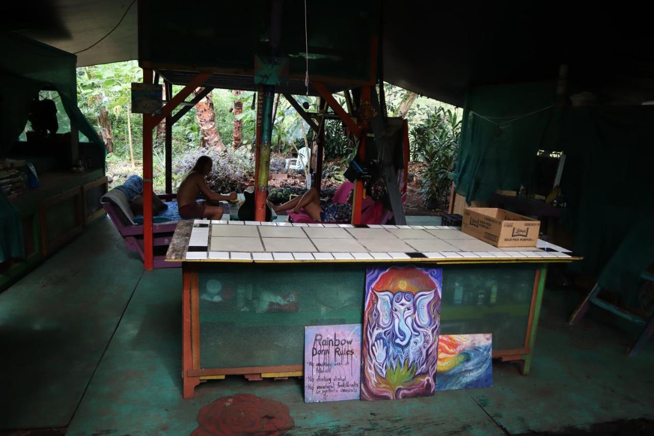 Paradise Eco Village Pahoa 外观 照片