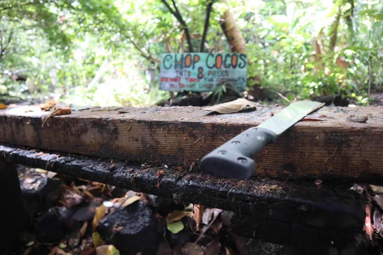 Paradise Eco Village Pahoa 外观 照片
